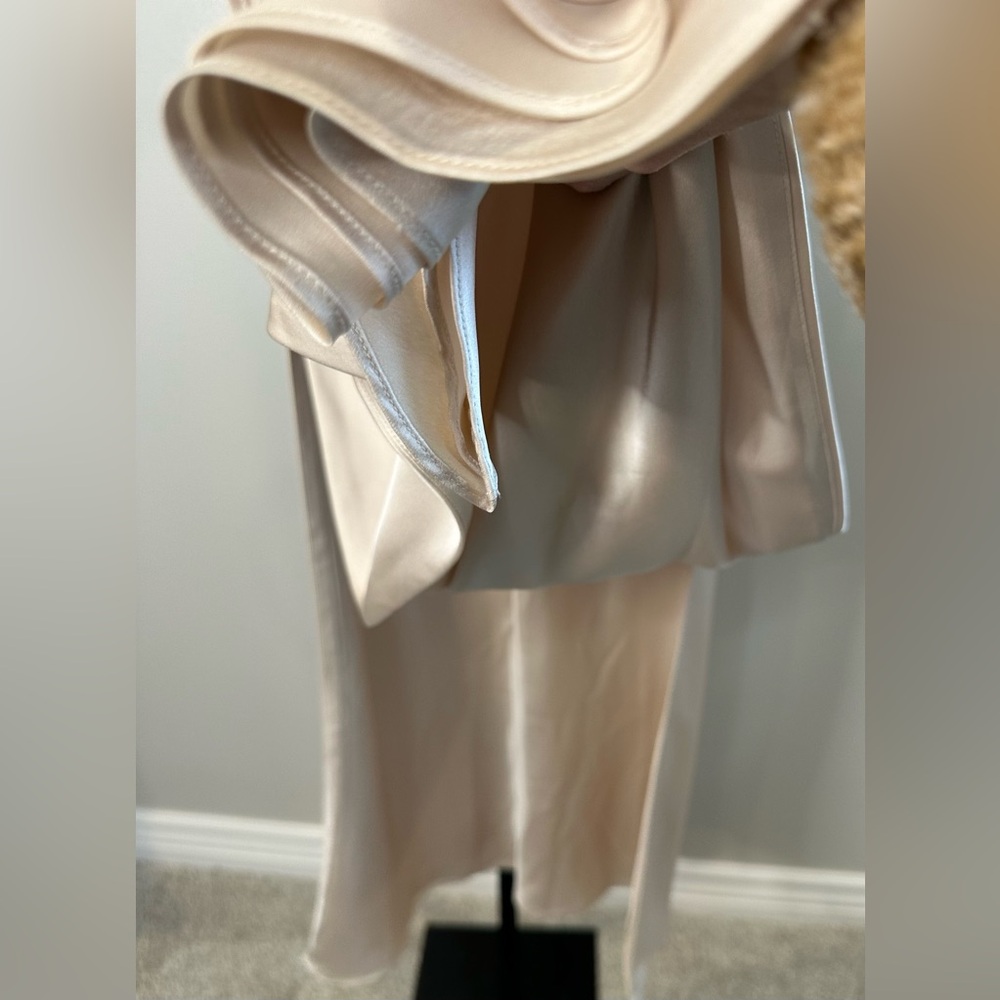 FAME and PARTNERS Francois Drape Gown in Champagne - Picture 9 of 14